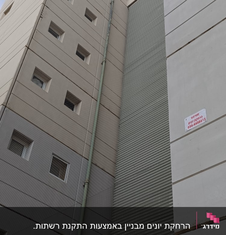 רשתות על קירות בניין למניעת כניסת יונים